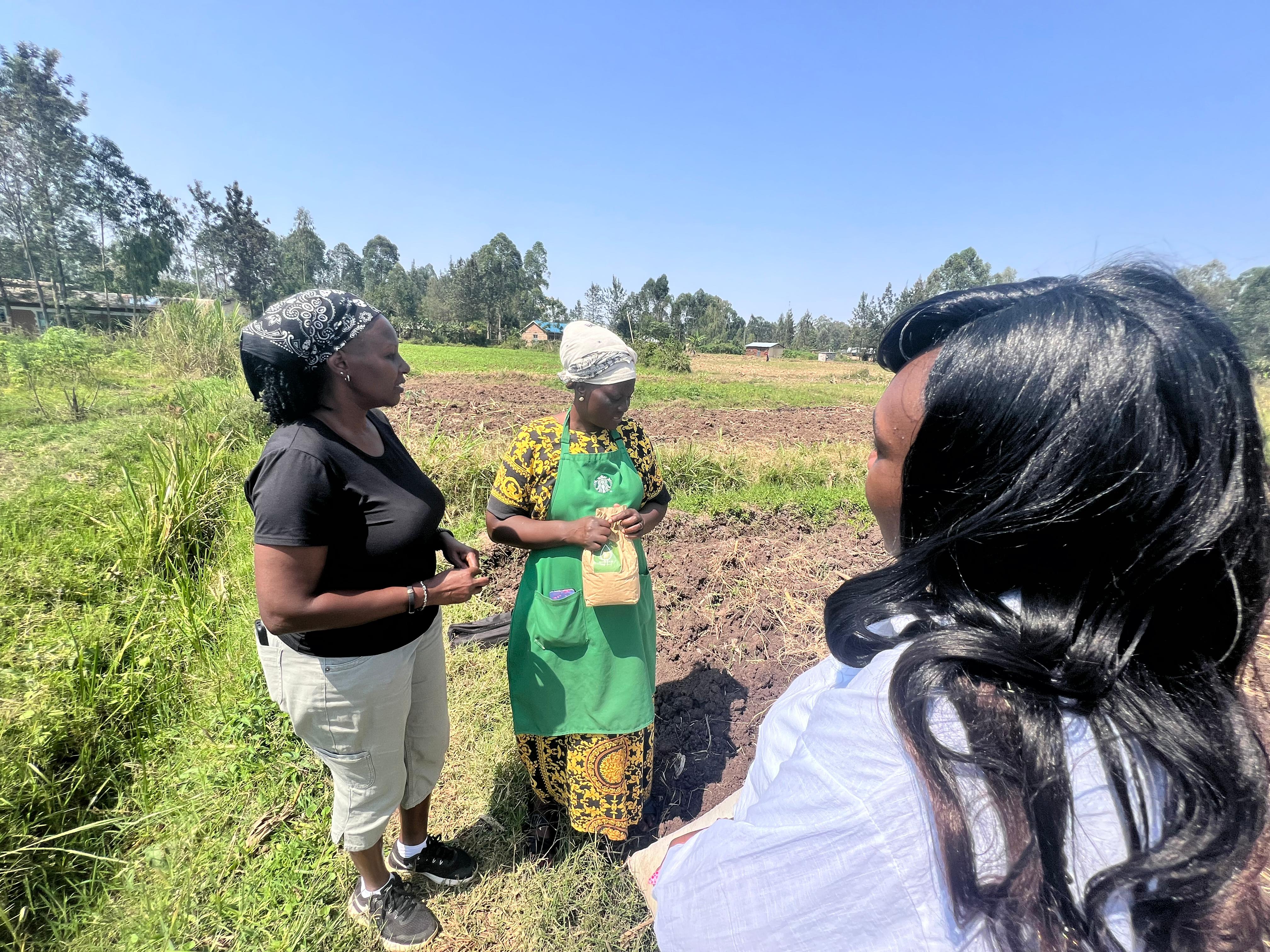 Soil Enhancement Solutions