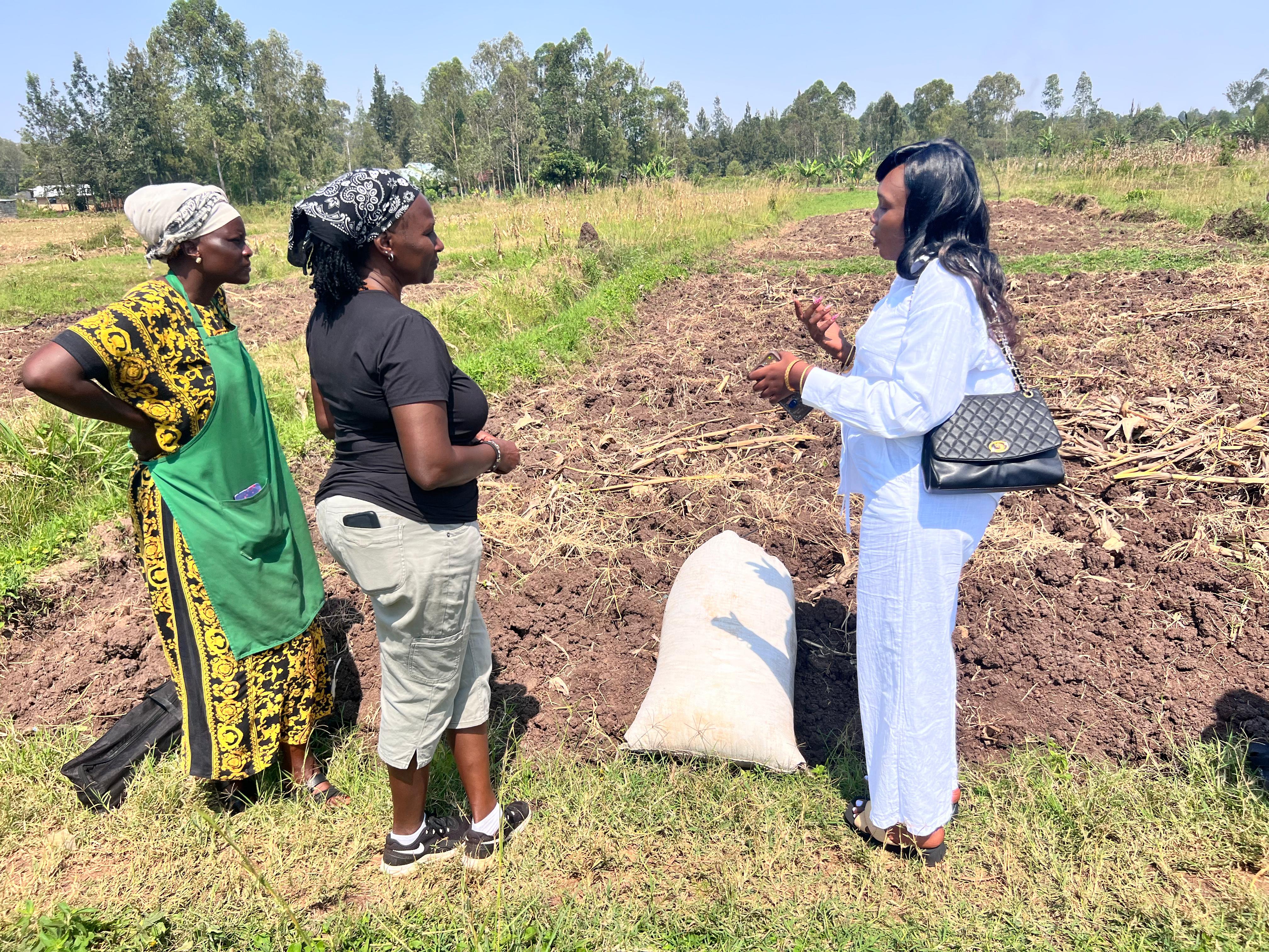 Sustainable Feed Solutions