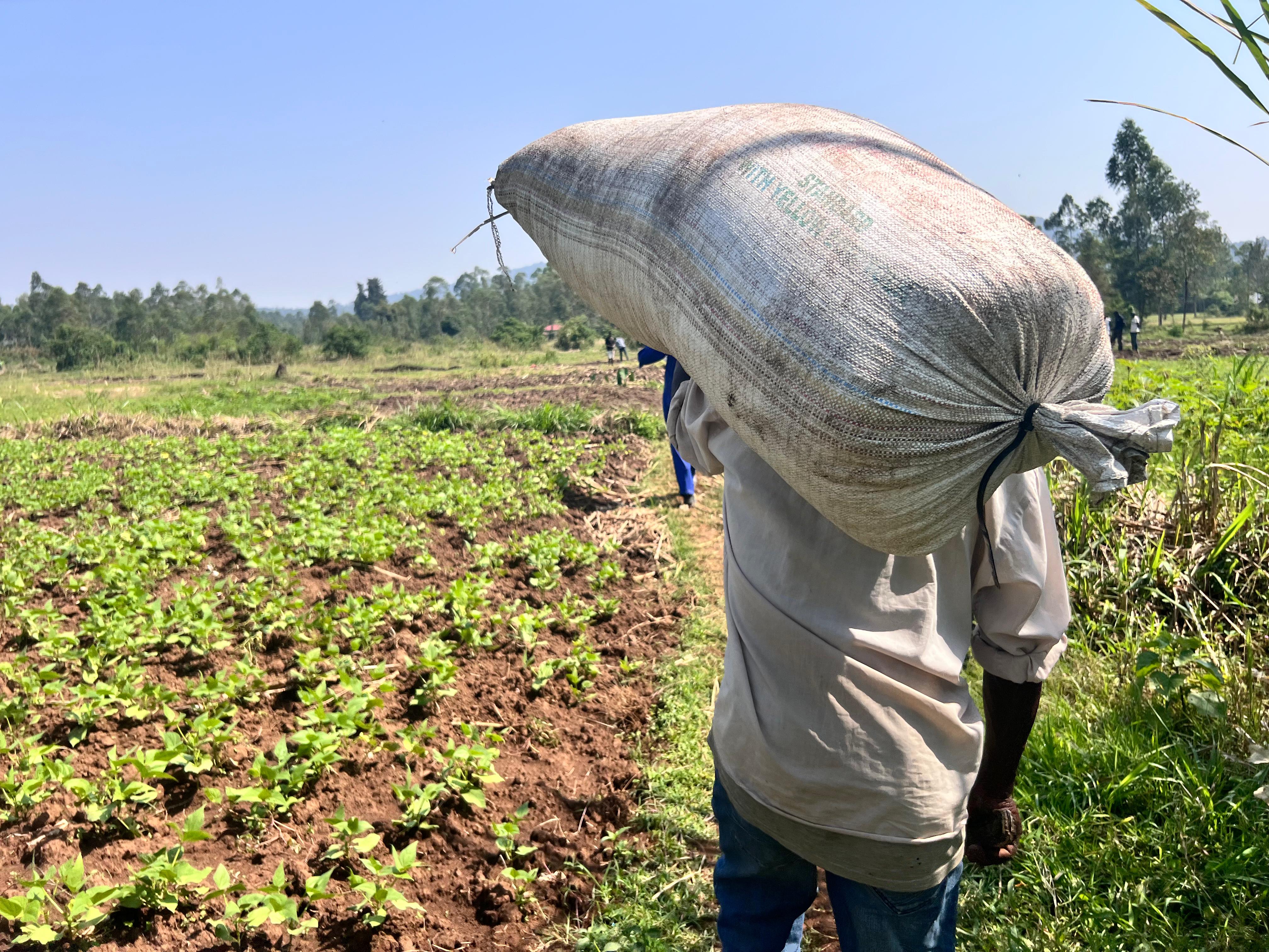 Organic Certification Success